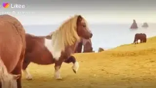 Que alvaja a jajaja😂😂😂😂😂