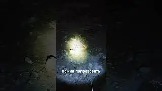 #сталкер