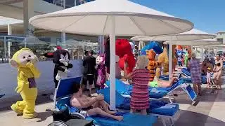Ohne Wohnmobil nach Ägypten- Hotel Dana, Hurghada