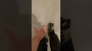 Рваные носки (Элджей кавер)