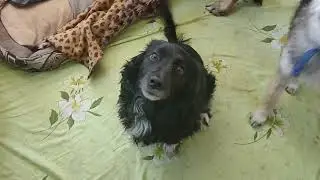 ЖужАлица-пигалица☺️❤