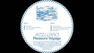 Pleasure Voyage - Dolphin Dance