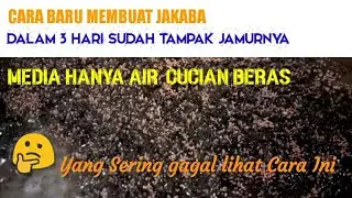 Jakaba | The new way to make Jakaba ini 3 daya is Ready | Who Often Fail Must Sheila This