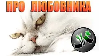 Поющий кот!!!  