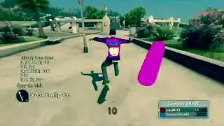 SKATE Montage