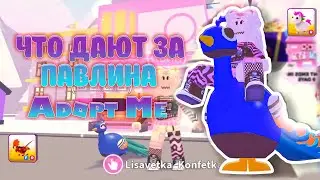 Вторая часть пробую поменять Павлина в Adop Me | Roblox | Трейды Адоп Ми