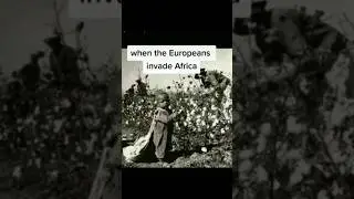 SHORT STORY AFRICA Freedom $ 