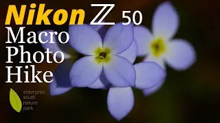 Nikon Z50 • Wildflower Macro Hike at Enterprise South Nature Park