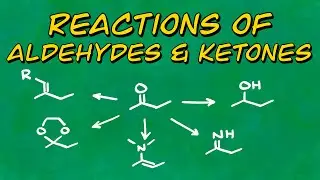 Reactions of Aldehydes and Ketones [Overview]