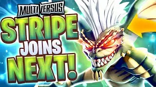 MultiVersus's *LEAKS* Stripe Trailer, Stripe Release Date, Skin Leaks & MORE!!!