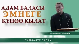 Адам баласы эмне себептен күнөө кылат? /устаз Иметов Садридин