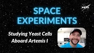 Onboard Artemis I: Studying Yeast Cells in Space