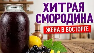 БЫСТРАЯ настойка на черной смородине. Отличный рецепт настойки из  черной смородины на самогоне