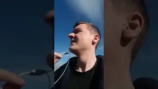 Обзор на чешских собак
