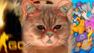 Денис Захаров - это иллюминат (разоблачение) 100% ШОК!!!😱😱😱