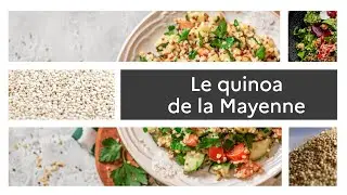Un produit, un territoire : Le quinoa de la Mayenne