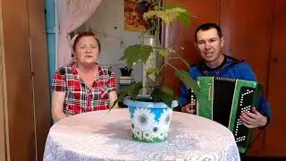 Родина
