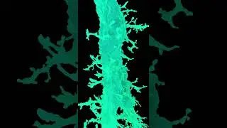 Name That Neuron