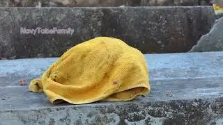 Carlo is a coward, he closes eyes & covers himself with a towel when he doesn't want to see anything