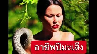 อาชีพคนเกิดปีมะเส็ง