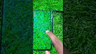 Samsung Galaxy S20 Plus 5G vs i Phone 11 4G❗️Display Review❓