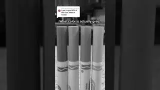 What color is actually GREY? #guessthecolor #intuitiontest #markers #prettyboyflow #impossible