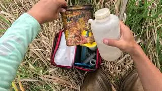 Stream Surveying Periphyton and Fish