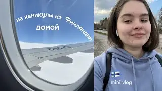 лечу домой из Финляндии | влог финского студента