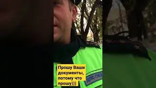 ДПСник руки в карманах просит документы у пассажира)