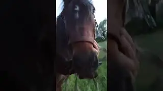 Со съёмок клипа 🎞🎥 mk5.45 - Буйна голова 🌾☦