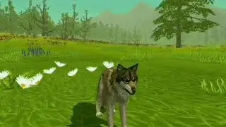 wildcraft: distraction dance meme (sorry it was a very long time but I'm gonna take another break)