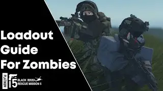 Loadout Guide For Zombies Gamemode (Blackhawk Rescue Mission 5)