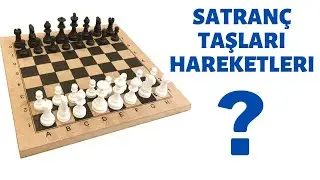Satrançta Taşların Hareketleri - Satranç Öğreniyorum