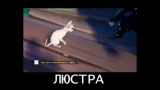 ЛЮСТРА