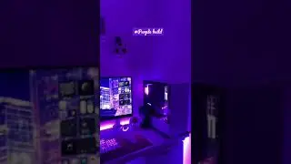 Purple Gaming/Editing Build! 💜