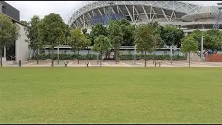 OlympicPark city gardens virtual walk Sydney Australia 4K