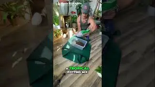 How to Create the Perfect Soil Mix for Aroids