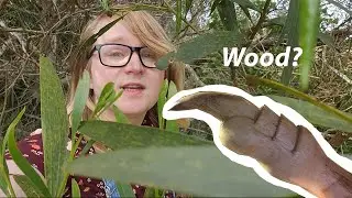 A quest for... uh... wood?