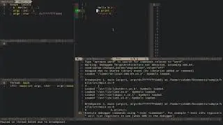 My neovim workflow for coding | (Advanced vim)
