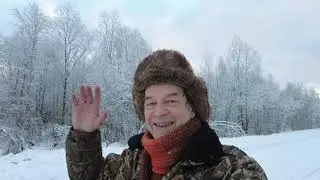 Утреннее восхищение (4К) 