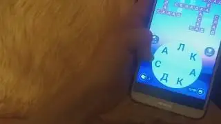 пазл дня 4 января WOW