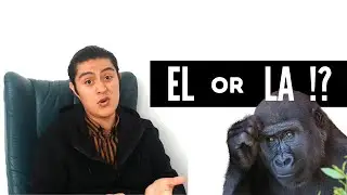 Nouns in Spanish/ BEGINNERS SPANISH