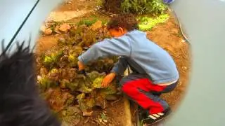 nos hacemos un sándwich para merendar (www.racoinfantil.com)