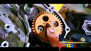 Por que?No SUBE ACEITE a las valvulas/Se ralla el cilindro/Sonidos Raros/Falta de lubricación