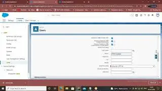 Salesforce Users & Profiles in Telugu