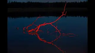 Film Score Showreel - Jimmy Benecasa