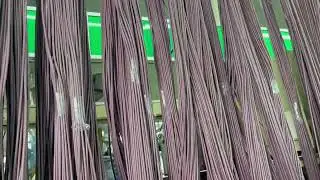 China manufacturer M12 connector cable assembly