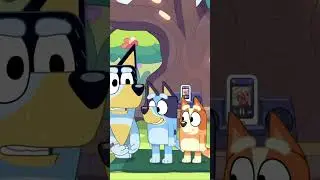 Bluey e Bingo vanno in ascensore 💪 | Bluey Italiano Canale Ufficiale #ytshorts