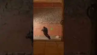The „Michael Jackson“ Bug in Counter-Strike 2🤡