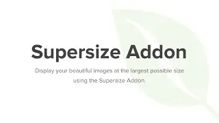 Envira Gallery Supersize Addon